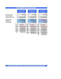 Net Present Value Calculator